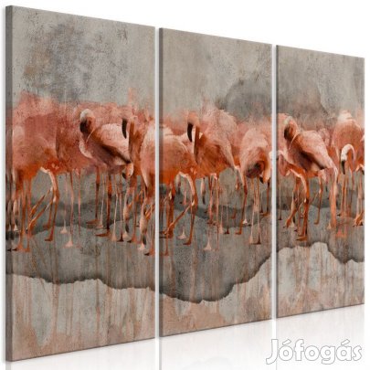 Kép - Szomjas Flamingók