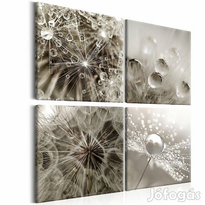 Kép - Szürke Pitypang 3