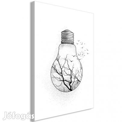 Kép - Téli madarak