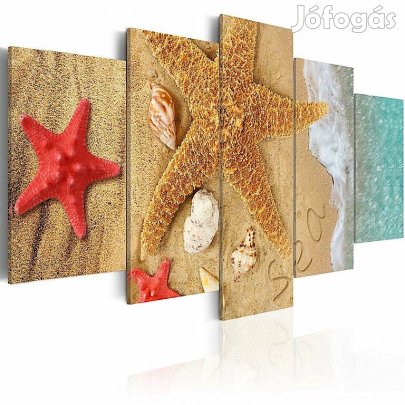 Kép - Tengeri csillag a parton