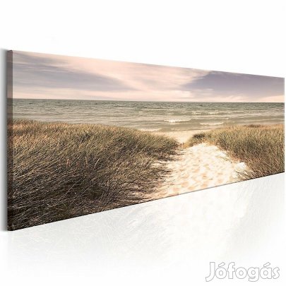 Kép - Tengerparti növényzet 3