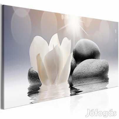 Kép - Természetes fény 4