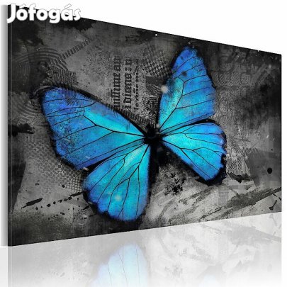 Kép - The study of butterfly