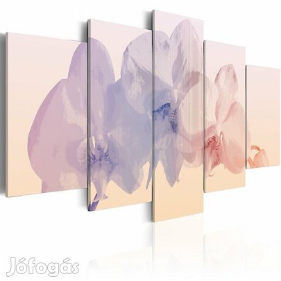 Kép - Törékeny szépség