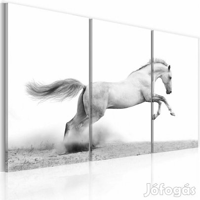 Kép - Ugró ló