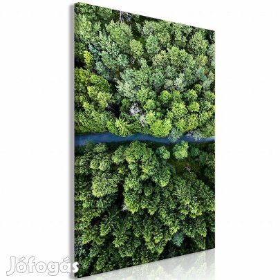 Kép - Út az erdőn keresztül