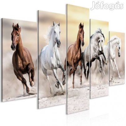 Kép - Vágtázó lovak