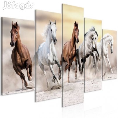 Kép - Vágtázó lovak