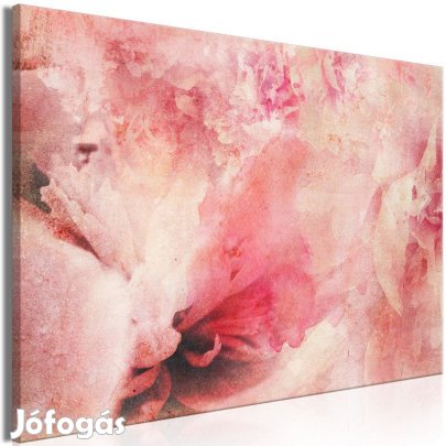 Kép - Virágok rózsaszínben