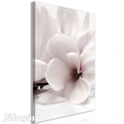 Kép - Virágzó magnólia