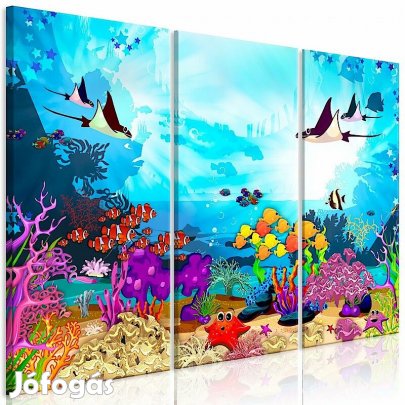 Kép - Víz alatti világ