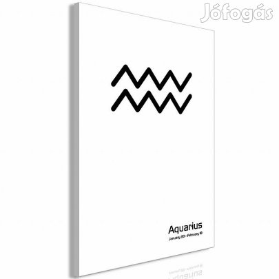 Kép - Vízöntő csillagkép