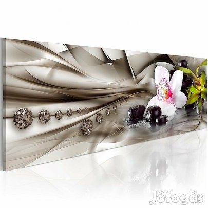 Kép - Zen composition: orchid, bamboo and stones