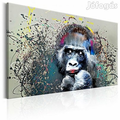 Kép - Zenehallgató majom