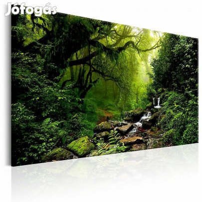 Kép - Zöld erdő patakkal