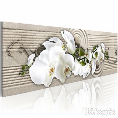 Kép -  Virág és homok 9