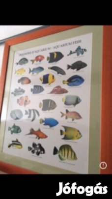 Kép kerettel együtt