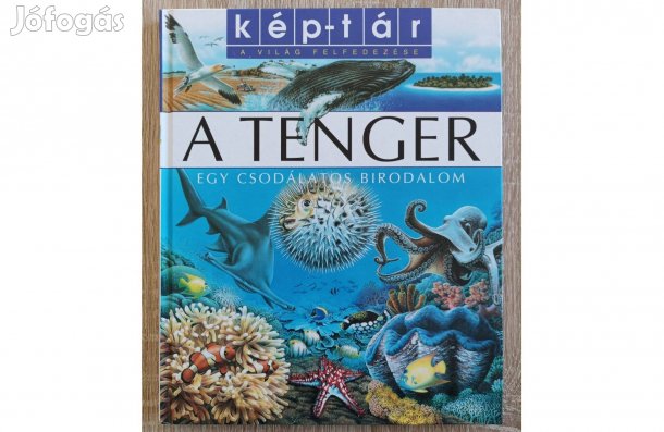 Kép-tár: A tenger - Egy csodálatos birodalom