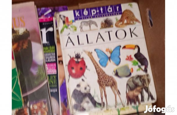 Kép-tár - Állatok Émilie Beaumont 5000ft óbuda személyes átvétel óbudá