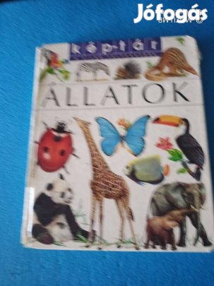 Kép-tár - Állatok Émilie Beaumont 6000ft óbuda