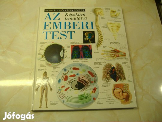 Képekben bemutatva Az Emberi Test Gyermekkönyv