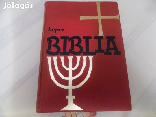 Képes Biblia ,Szemelvényes szentírási szövegek fiataloknak