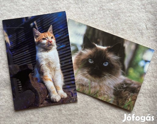 Képeslap - levelezőlap csomag/2 db