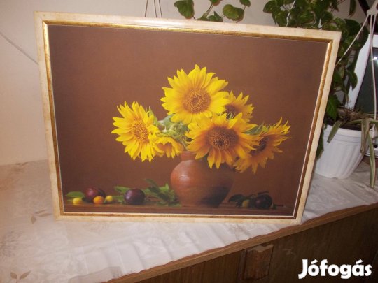 Képkeretbe Épített Napraforgó Kép Eladó 50 X 40 cm