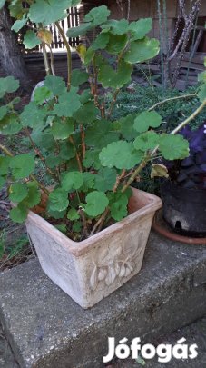 Kerámia balkon láda muskátlival