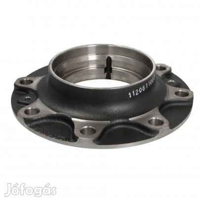 Kerékcsapágyház Dana Spicer