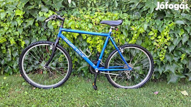 Kerékpár_Férfi mountain bike Olcsón eladó !!!