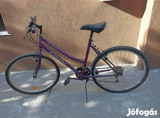 Kerékpár, Mountain Bike