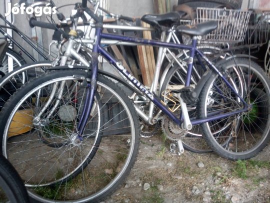 Kerékpárok eladók
