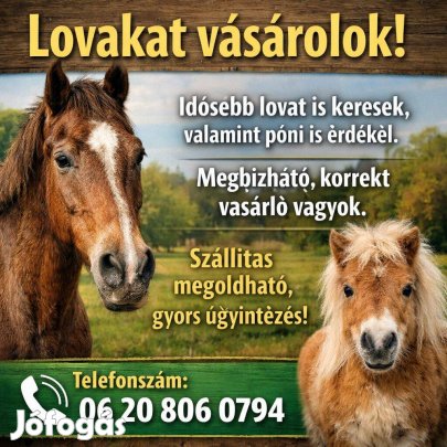 Keresek: Keresek vásárolnék