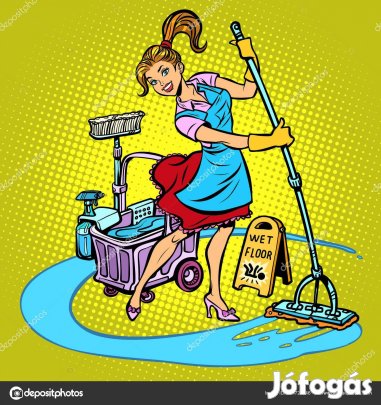 Keresek: Takarítás Ház