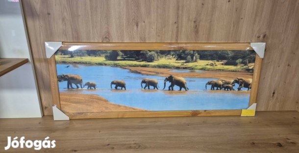 Keretezett kép elefántcsorda