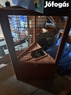 Kert tengerimalac hazikó eladó