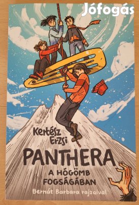 Kertész Erzsi Panthera A hógömb fogságában