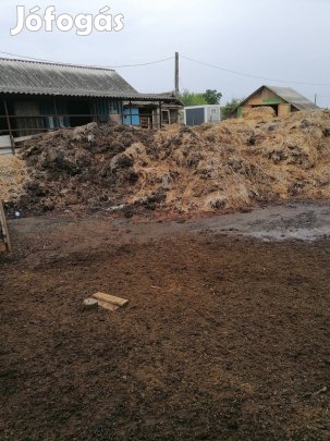 Kertészeknek, Gazdaknak érett juhtrágya