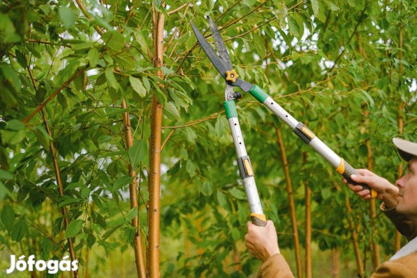 Kerti munkák vállalása - megbízható, azonnal
