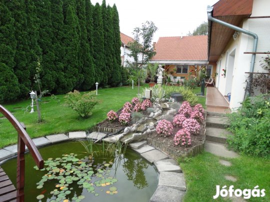 Kerti tó felszerelés Pontec 3000 szökőkút