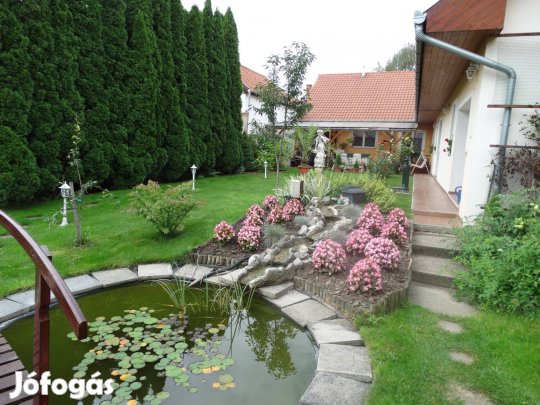 Kerti tó felszerelés halbölcső