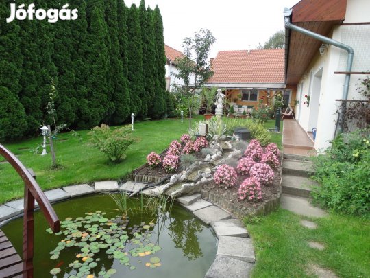 Kerti tó felszerelés patak meder elemek