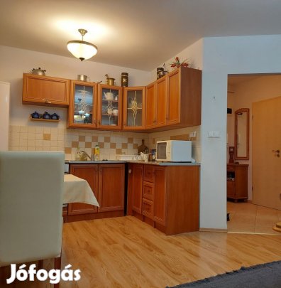 Kertkapcsolatos lakás az Egyetemváros szívében