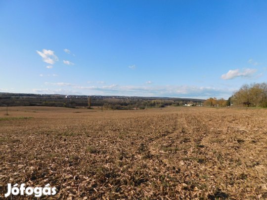 Keszthelyen szántó eladó
