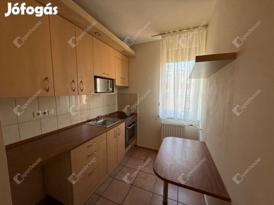 Keszthelyi 47 nm-es lakás eladó