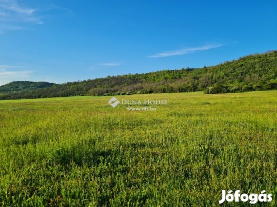 Kesztölci 30259 nm-es telek eladó