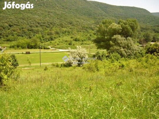 Kesztölci 972 nm-es telek eladó