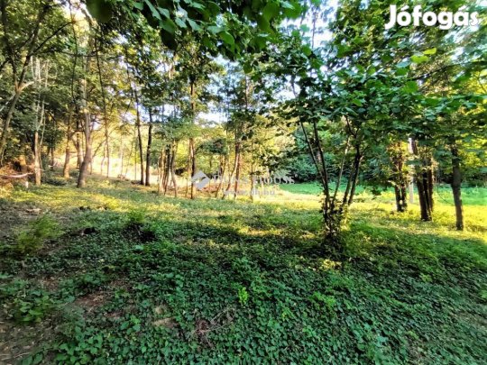 Kesztölci eladó 3550 nm-es telek