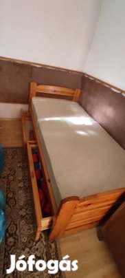 Kétfiókos fenyőágy